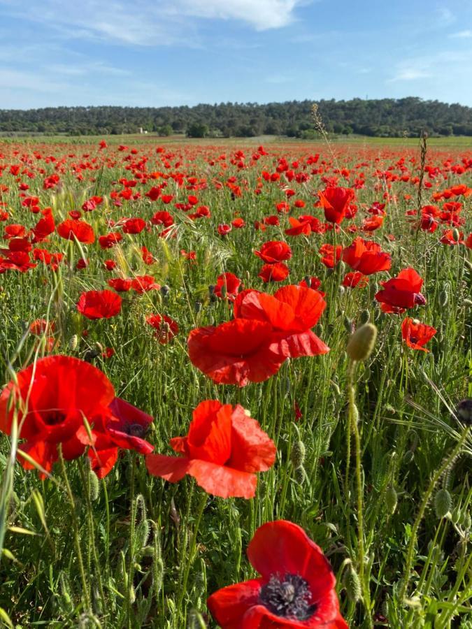 Les Santolines - à La Campagne Appartamento